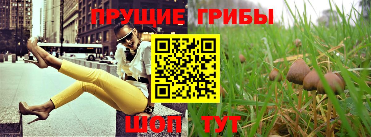 продажа наркотиков  Вход с VPN  Псилоцибиновые грибы Psilocybe  Протвино  Галлюциногенные грибы MAGIC MUSHROOMS 